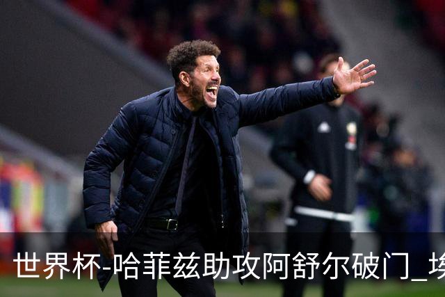 世界杯-哈菲兹助攻阿舒尔破门 埃及半场暂1-0澳大利亚
