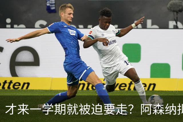 才来一学期就被迫要走？阿森纳拟用约克雷斯+现金，互换马竞神锋阿尔瓦雷斯
