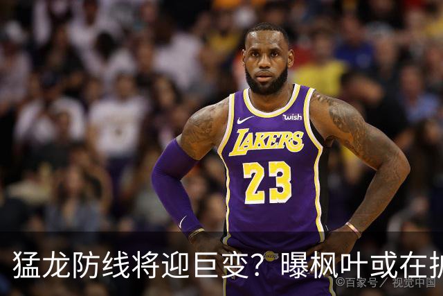 猛龙防线将迎巨变？曝枫叶或在扩军选秀中放弃摩根·里利