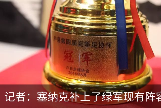 记者：塞纳克补上了绿军现有阵容的防守短板 但他在进攻端偏软